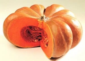 zucca_tonda