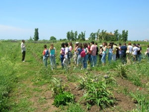 Scuola in visita presso la fattoria didattica Agriturismo La Morella