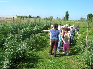 Scuola in visita presso la fattoria didattica Agriturismo La Morella