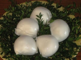 Mozzarella di Battipaglia