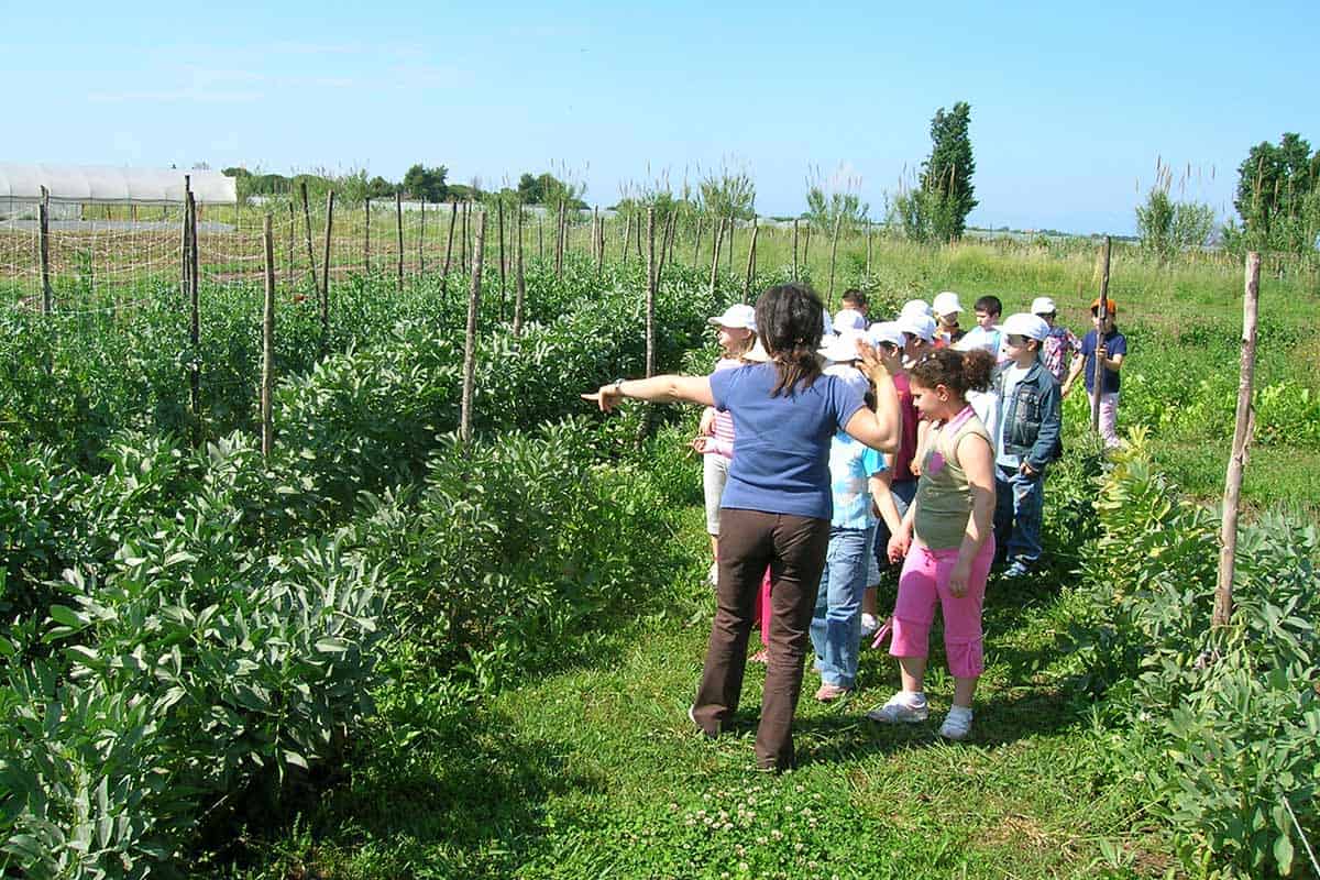 Agriturismo con fattoria didattica