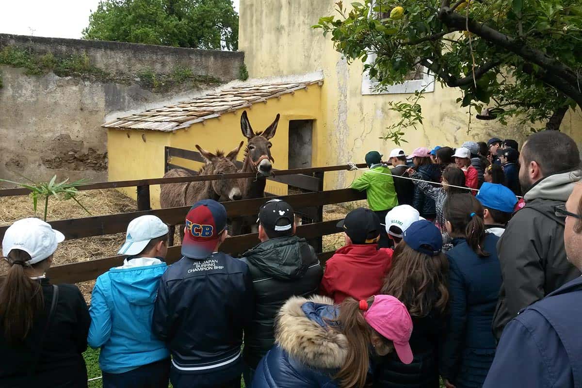 Agriturismo per bambini