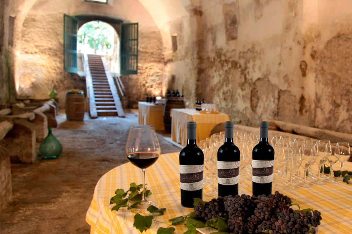 I vini della masseria La Morella